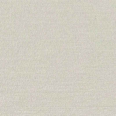 B291 Liso Anemone