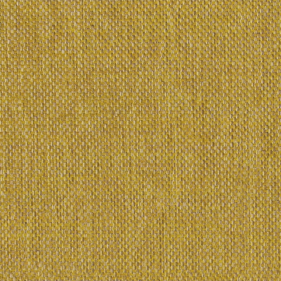 B264 Calor Cardamom