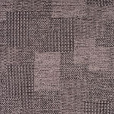 Alexandra Park Patch Damson