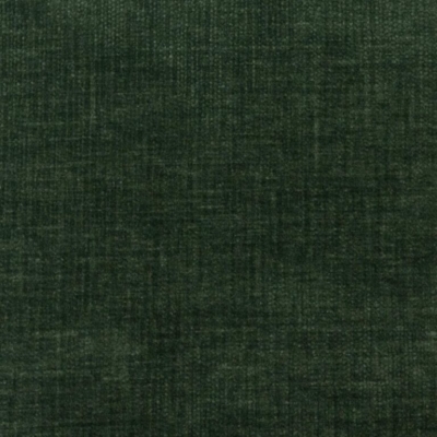 Tuscan Fern