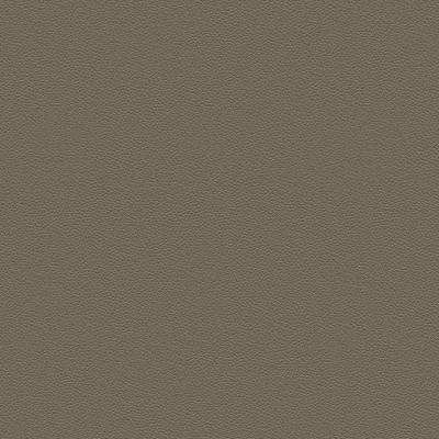 H009 Durham Mushroom