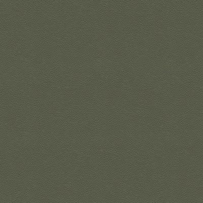 H012 Durham Olive