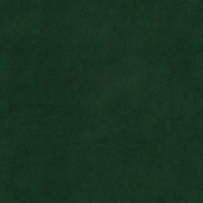 Delphi Holly aquaclean