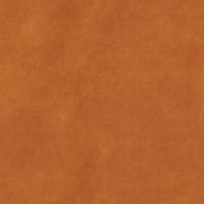 Delphi Orange aquaclean