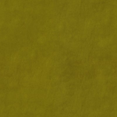 Delphi Seagrass aquaclean