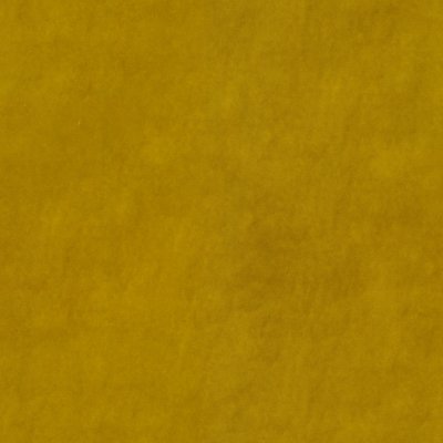 Delphi Sunflower aquaclean