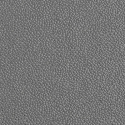 Premium Ribble Fossil