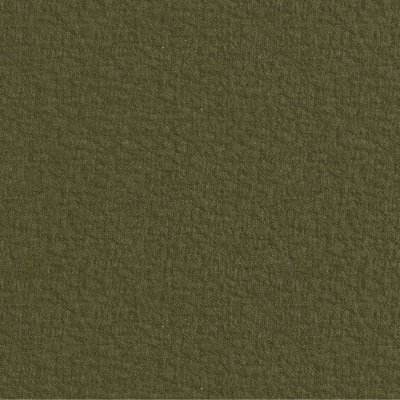 Standard Severn Fern