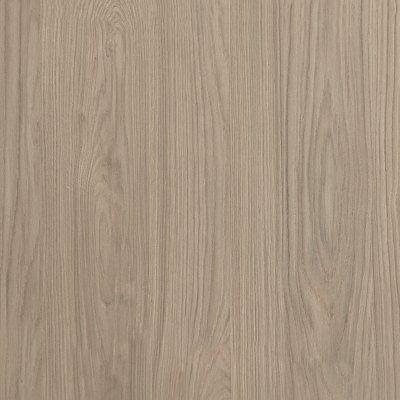 Misty Oak