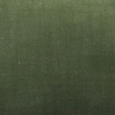 Grace 11