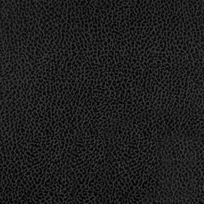 Saddle Black