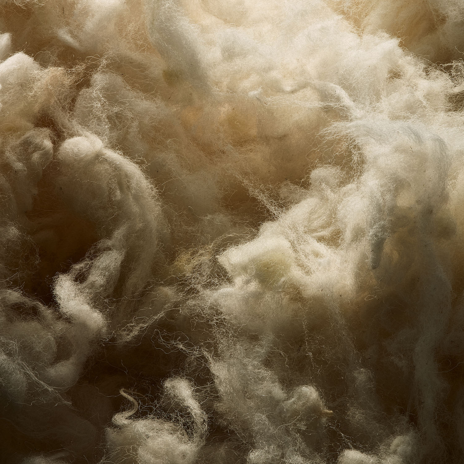 Fleece Wool